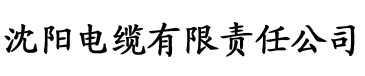 大香蕉午夜在线播放电缆厂logo